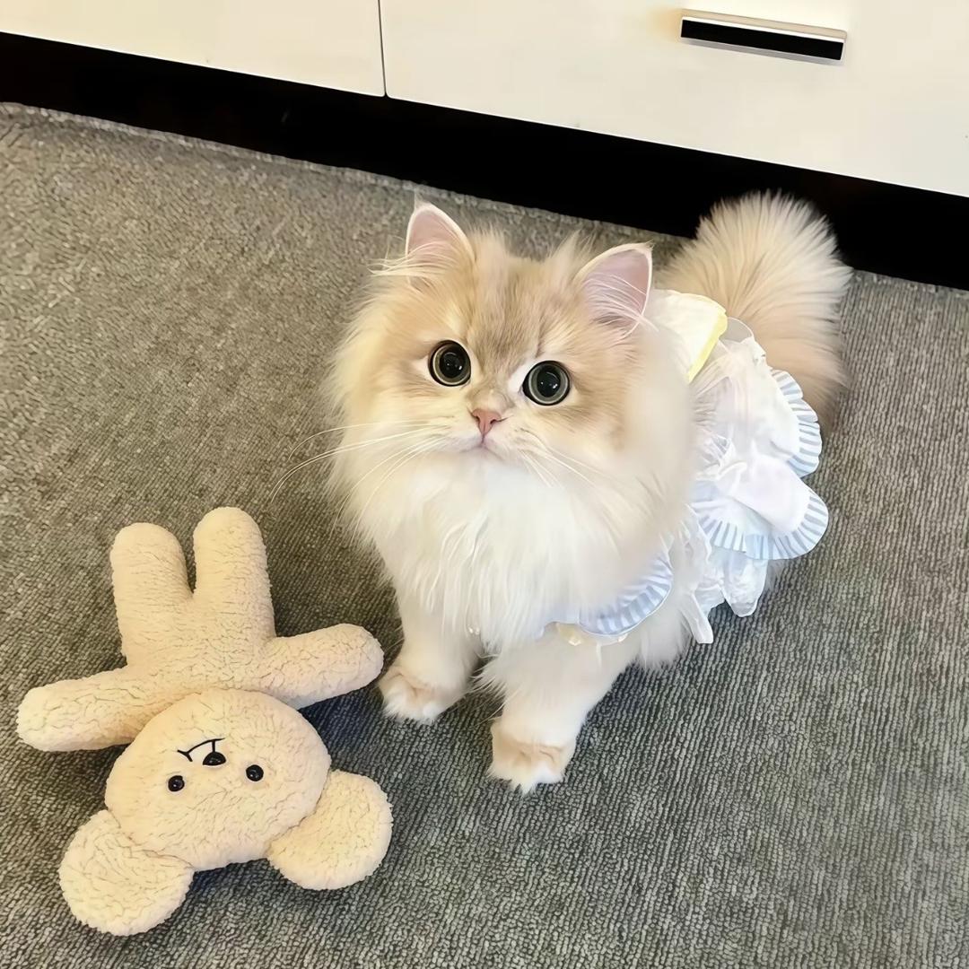 胖猫儿潮流女包