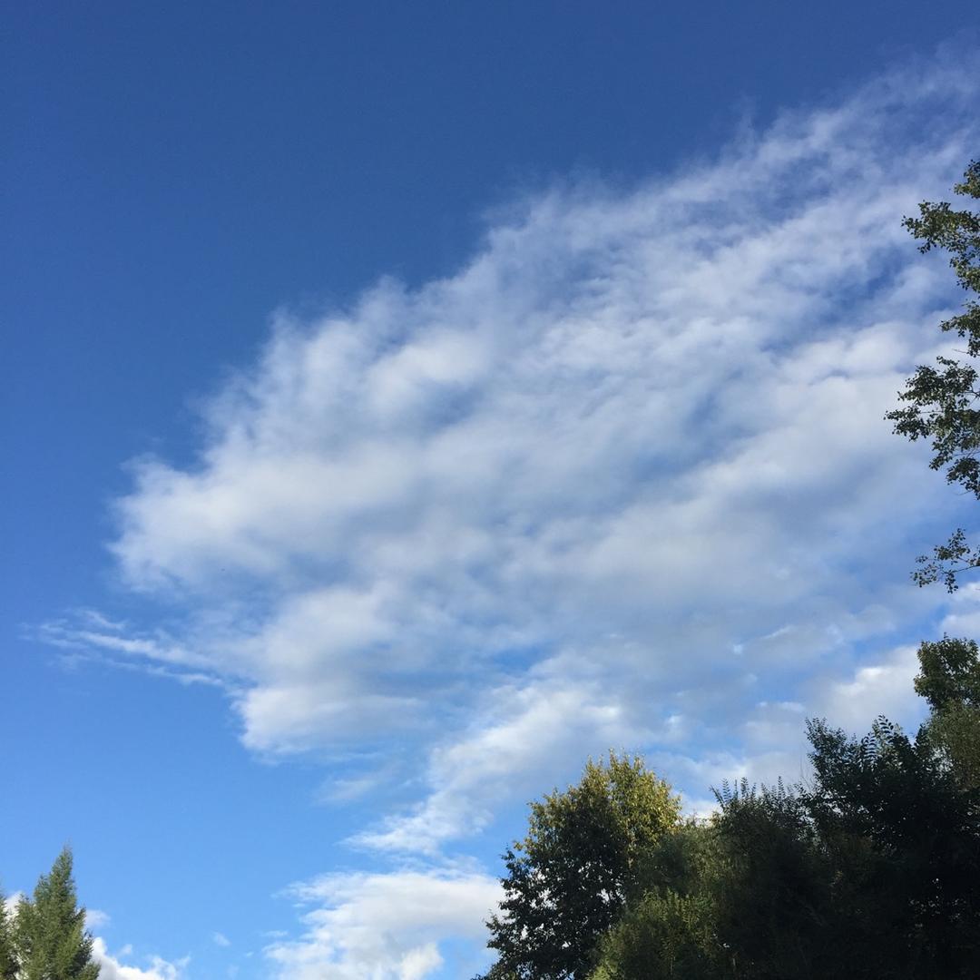 大润生涯规划