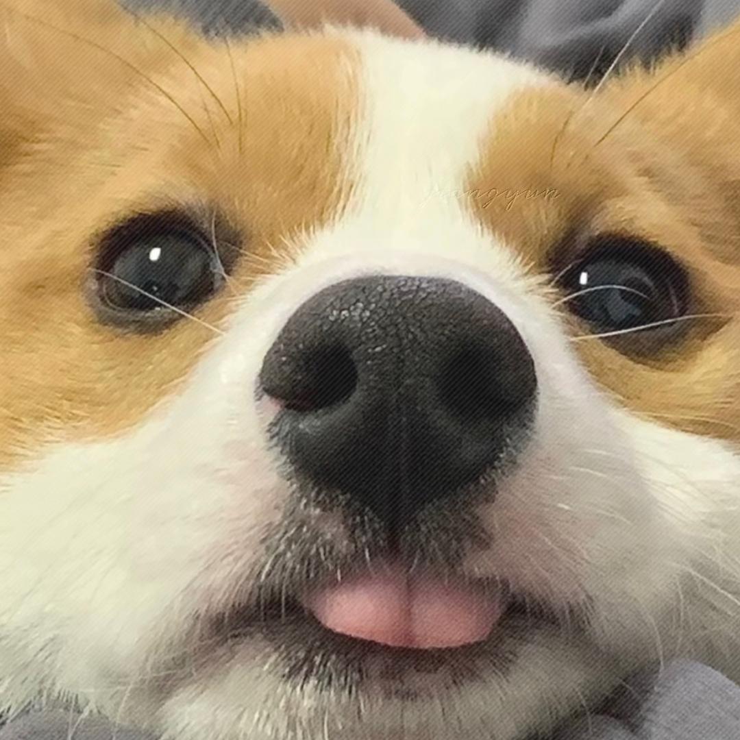 11112