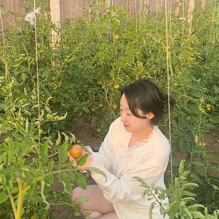 莱西宇凤自家好物