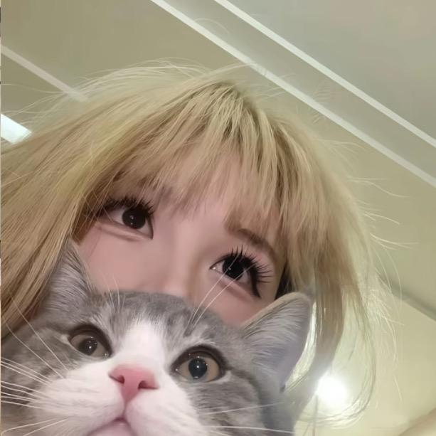 ㅤㅤ出了名的傻