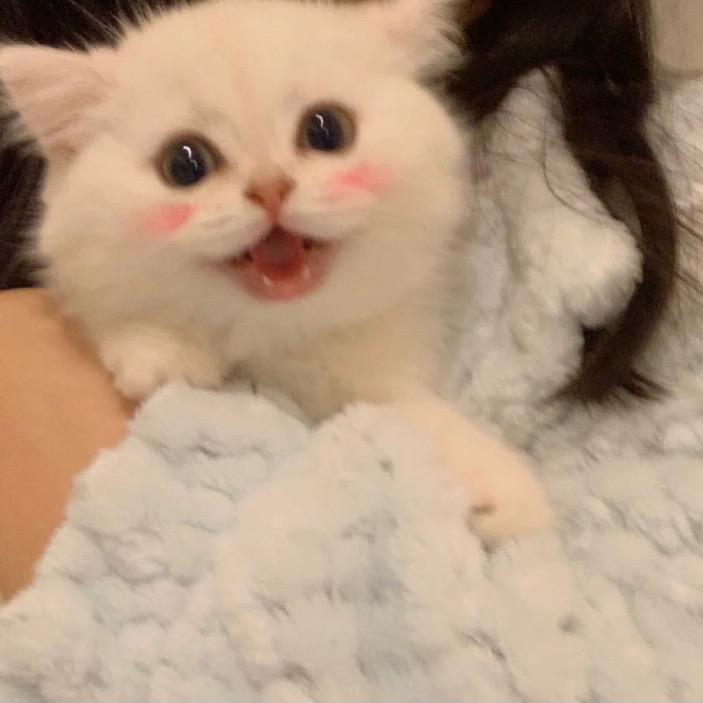 糯个米