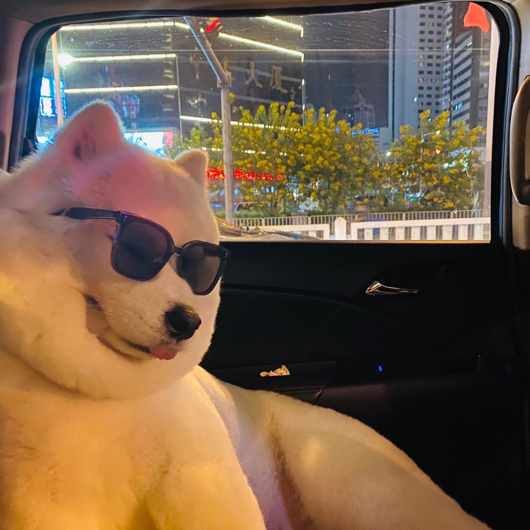 李十九