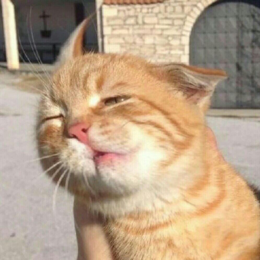 名字太难起