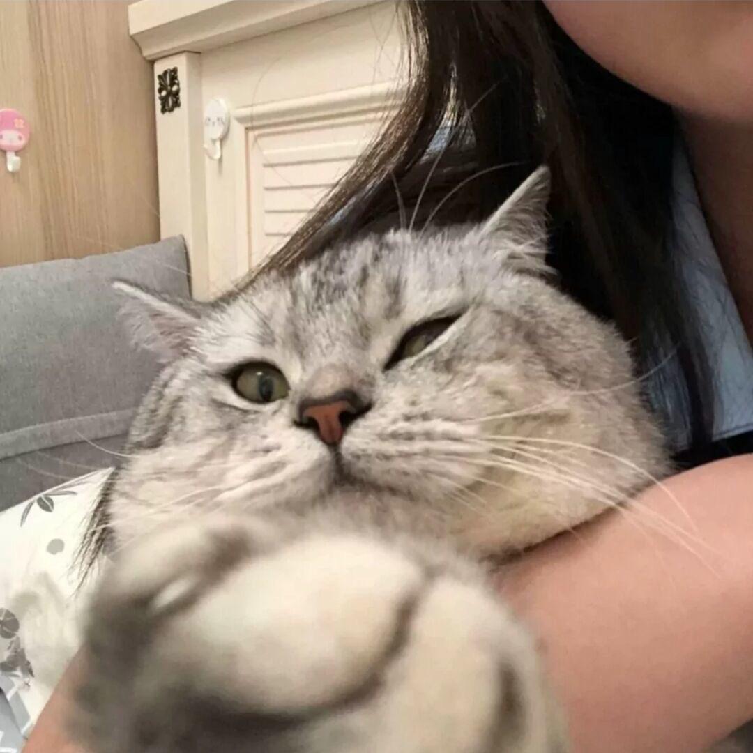 小于小鱼