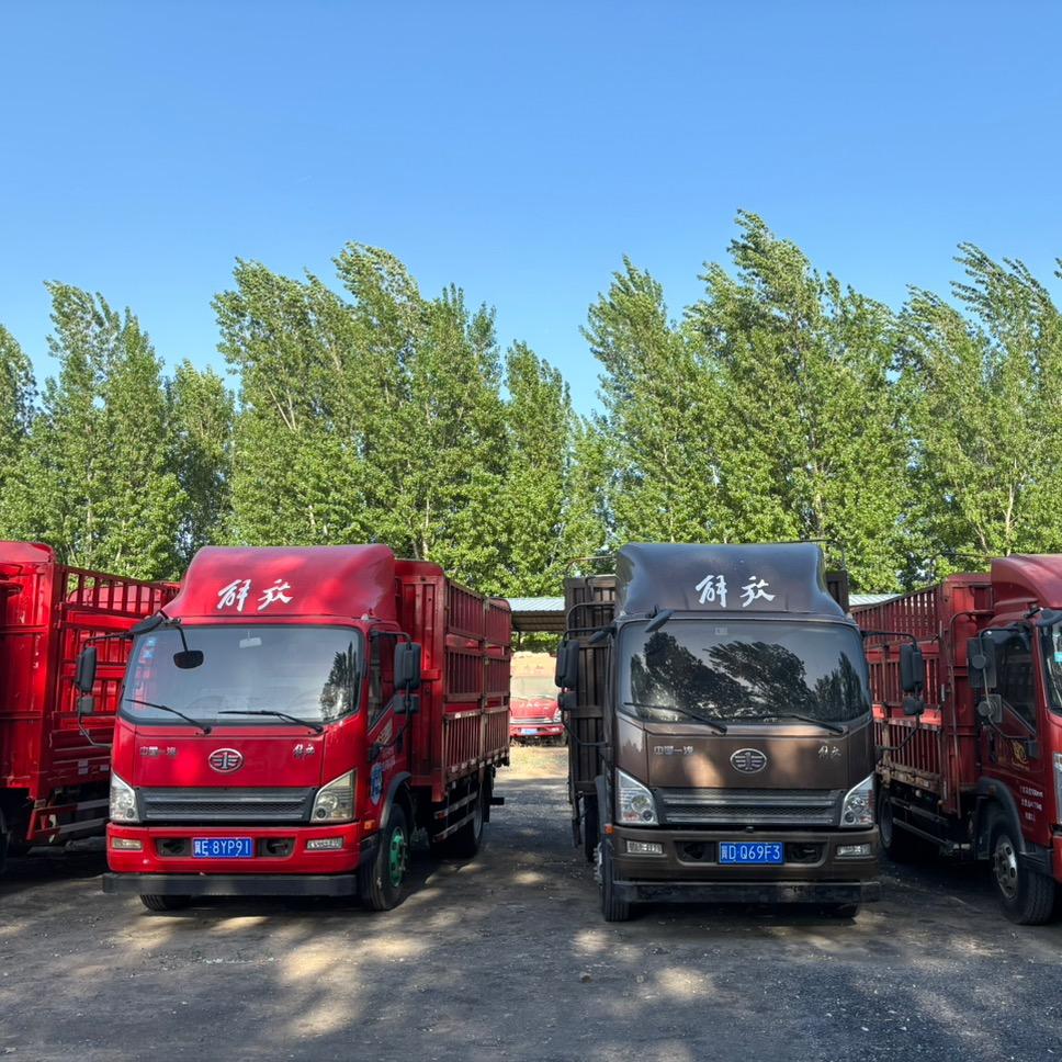 冀E八方货车🚚🚚🚚🚚