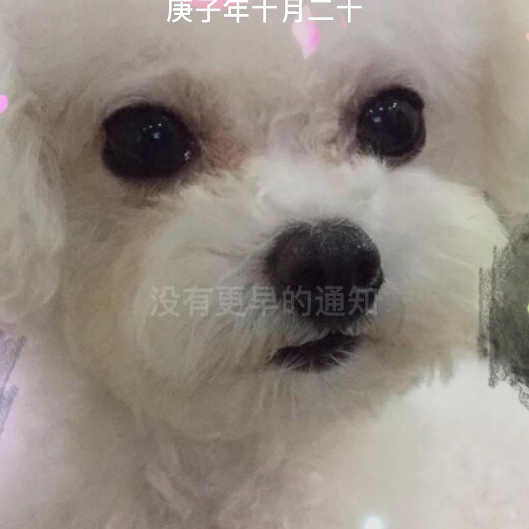 蜜桃🍑