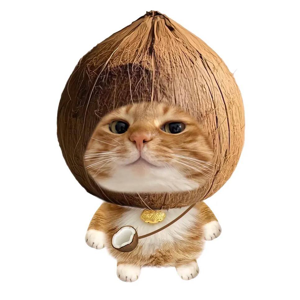 凌冬雨
