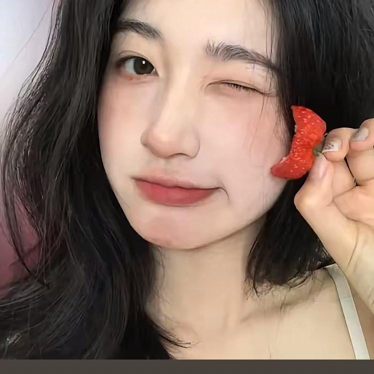 今夏怀里的猫