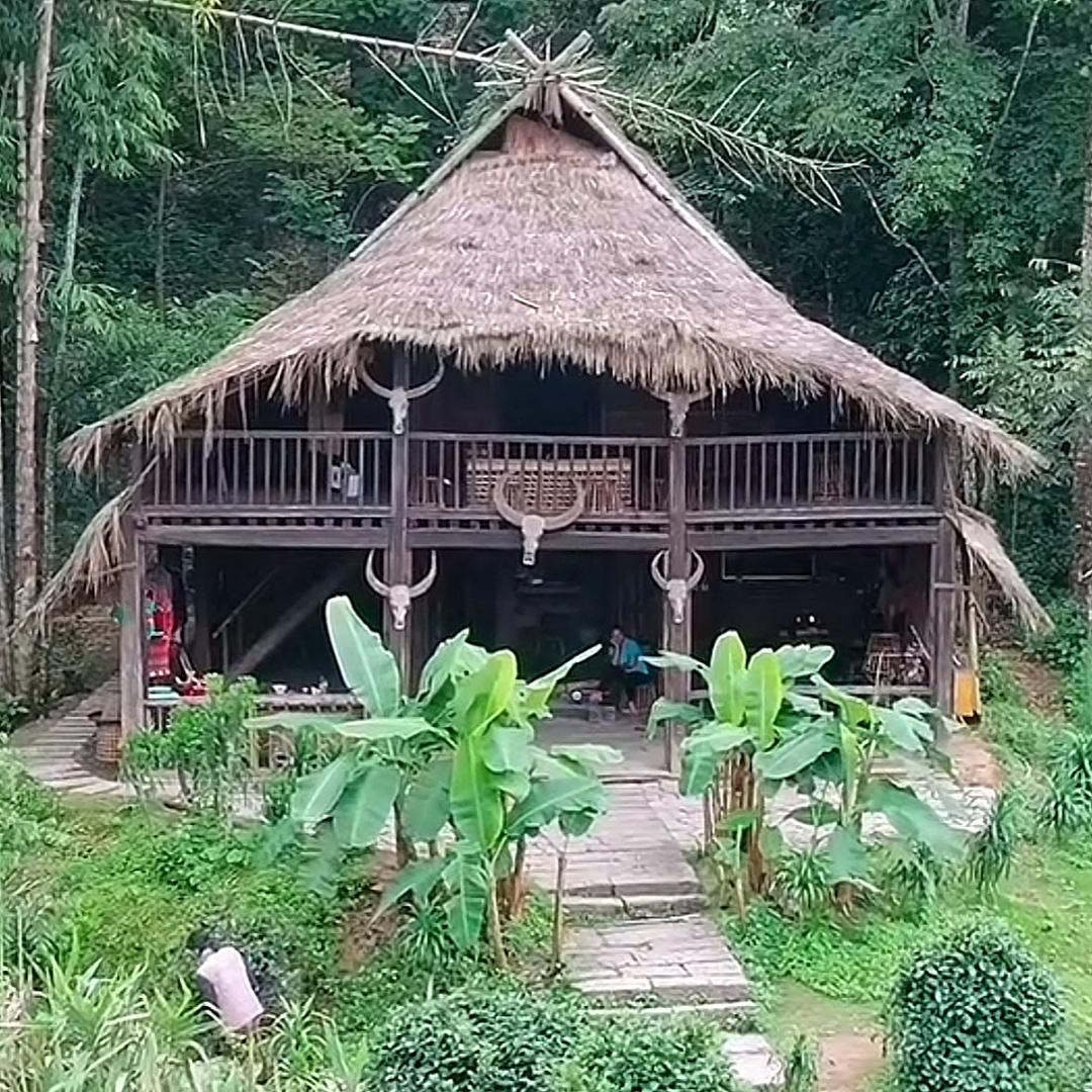 🪼🐠🦀🌸🪻