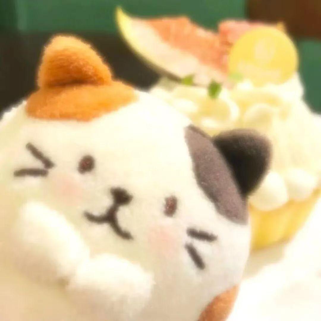 菠萝叶子