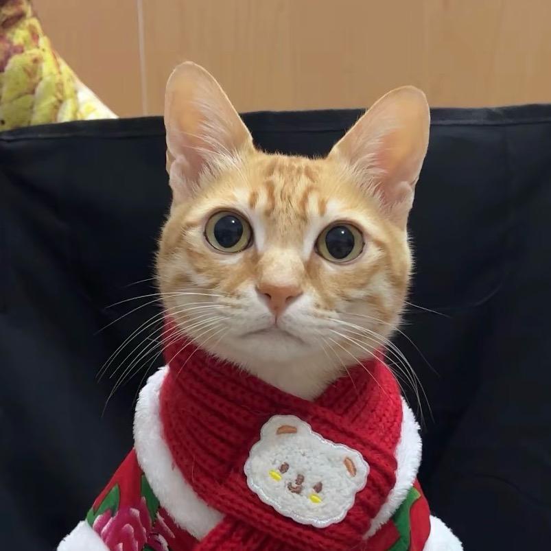 里狗蛋