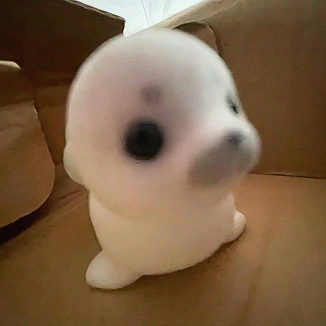 十五.