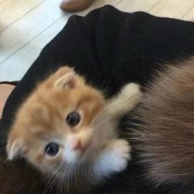 iiiiy