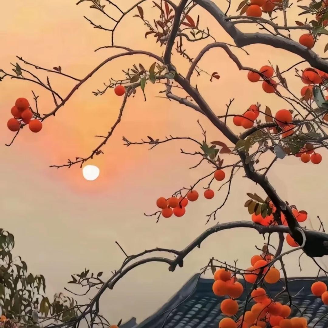 柚🍁见