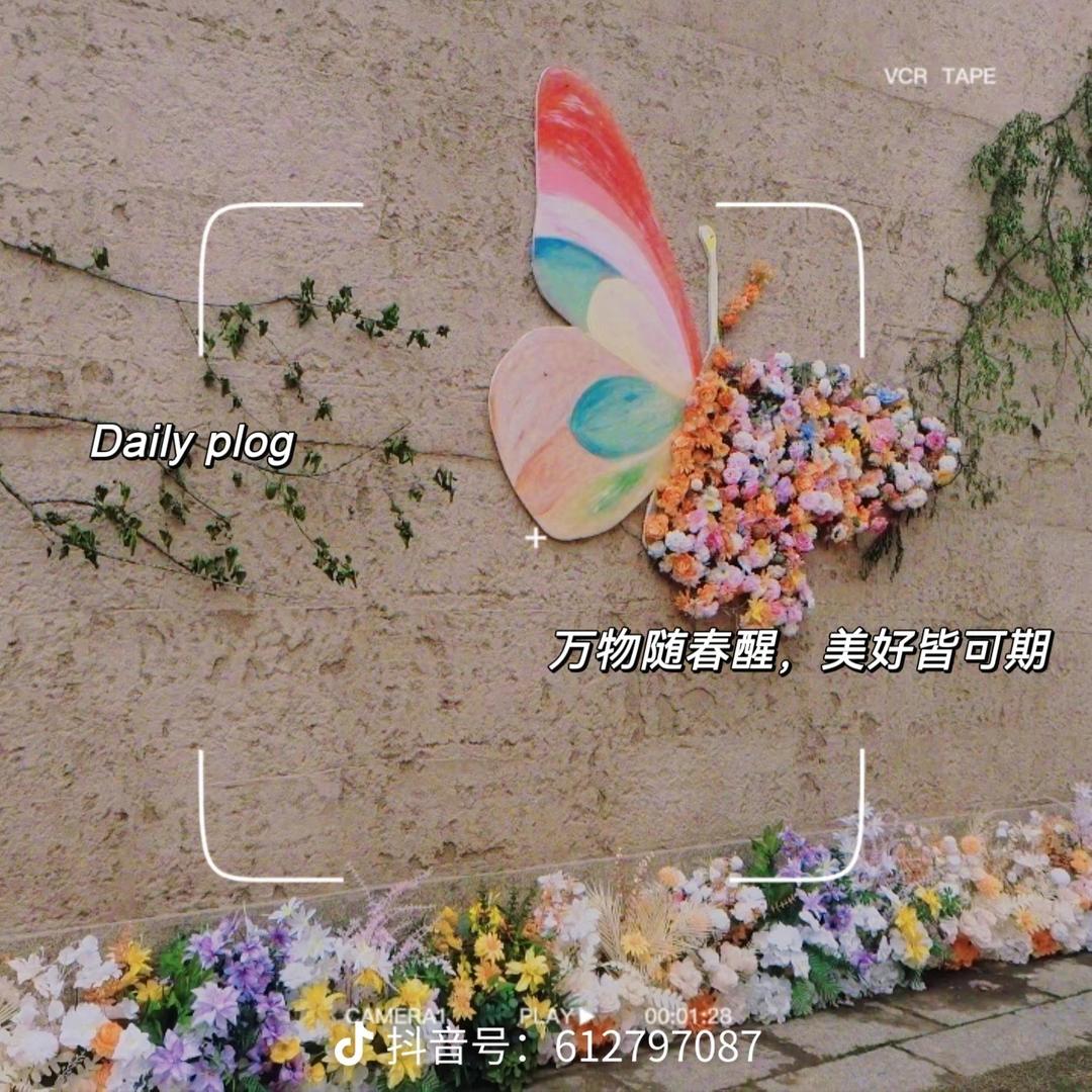 浮生若梦