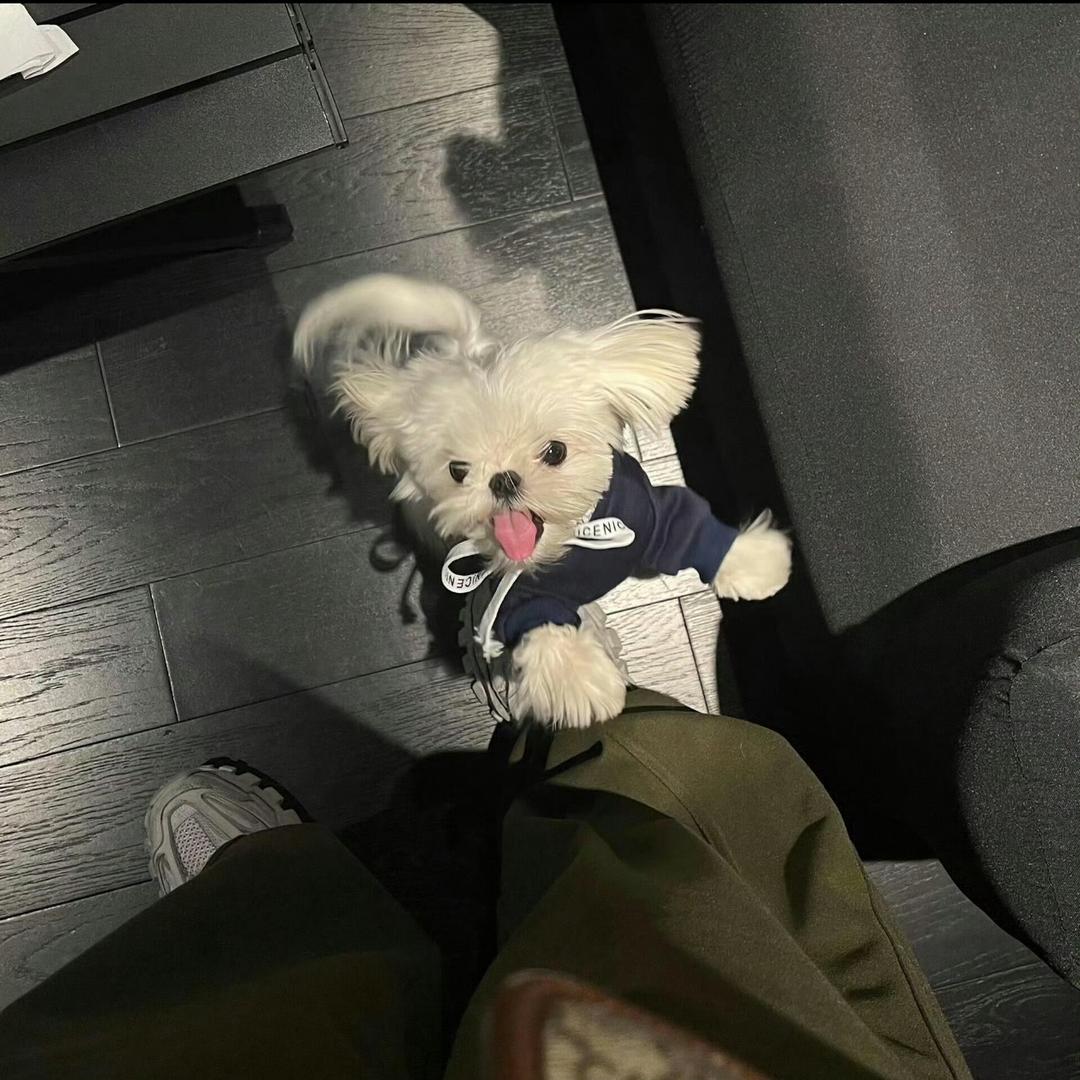 森里