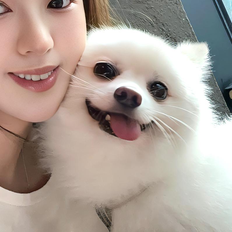 包包的八万