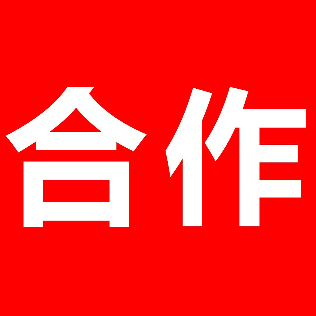 龙飞团队Lfzm008