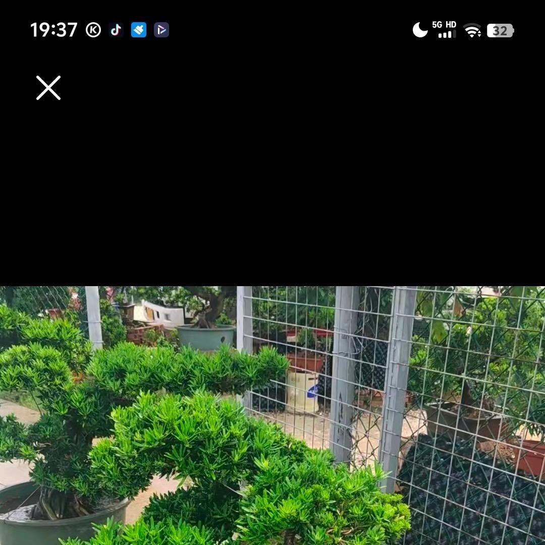 池池