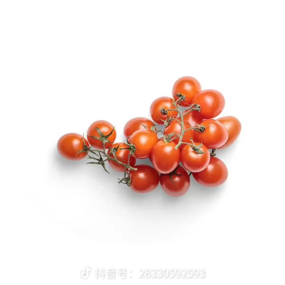 小十三🍠