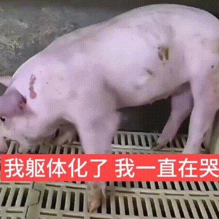 讨厌早八