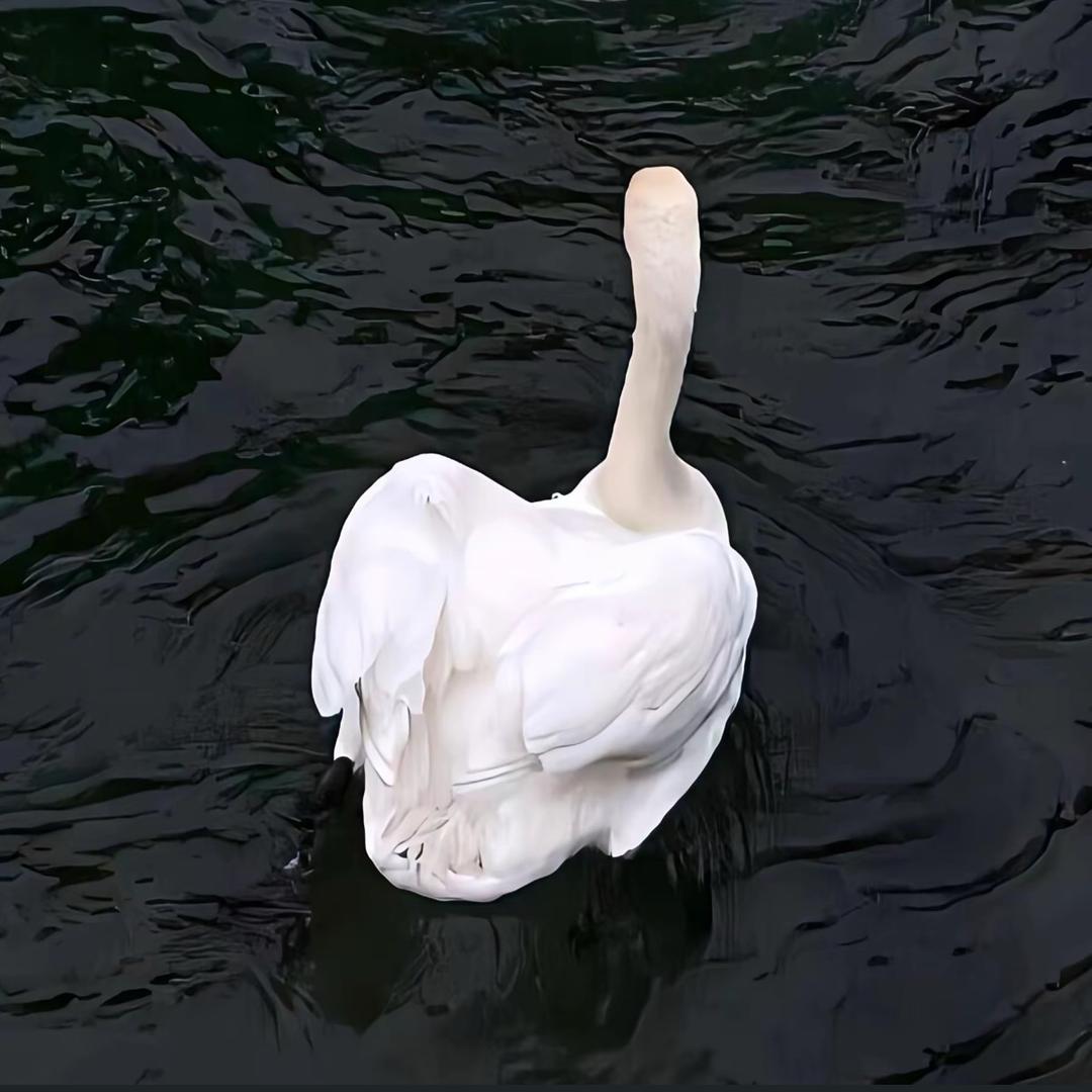 康健