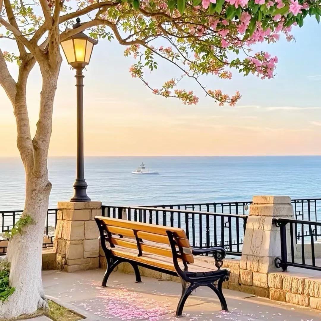 💫浅笑🐾🐾回眸💫