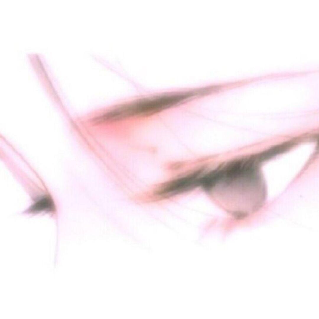 米宗子
