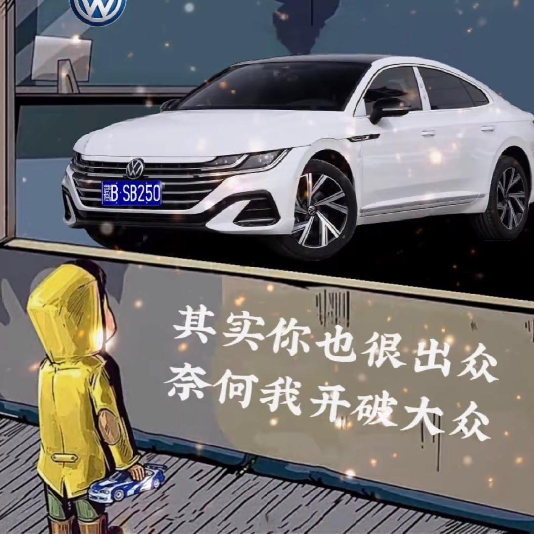 专业家装墙面施工，美缝