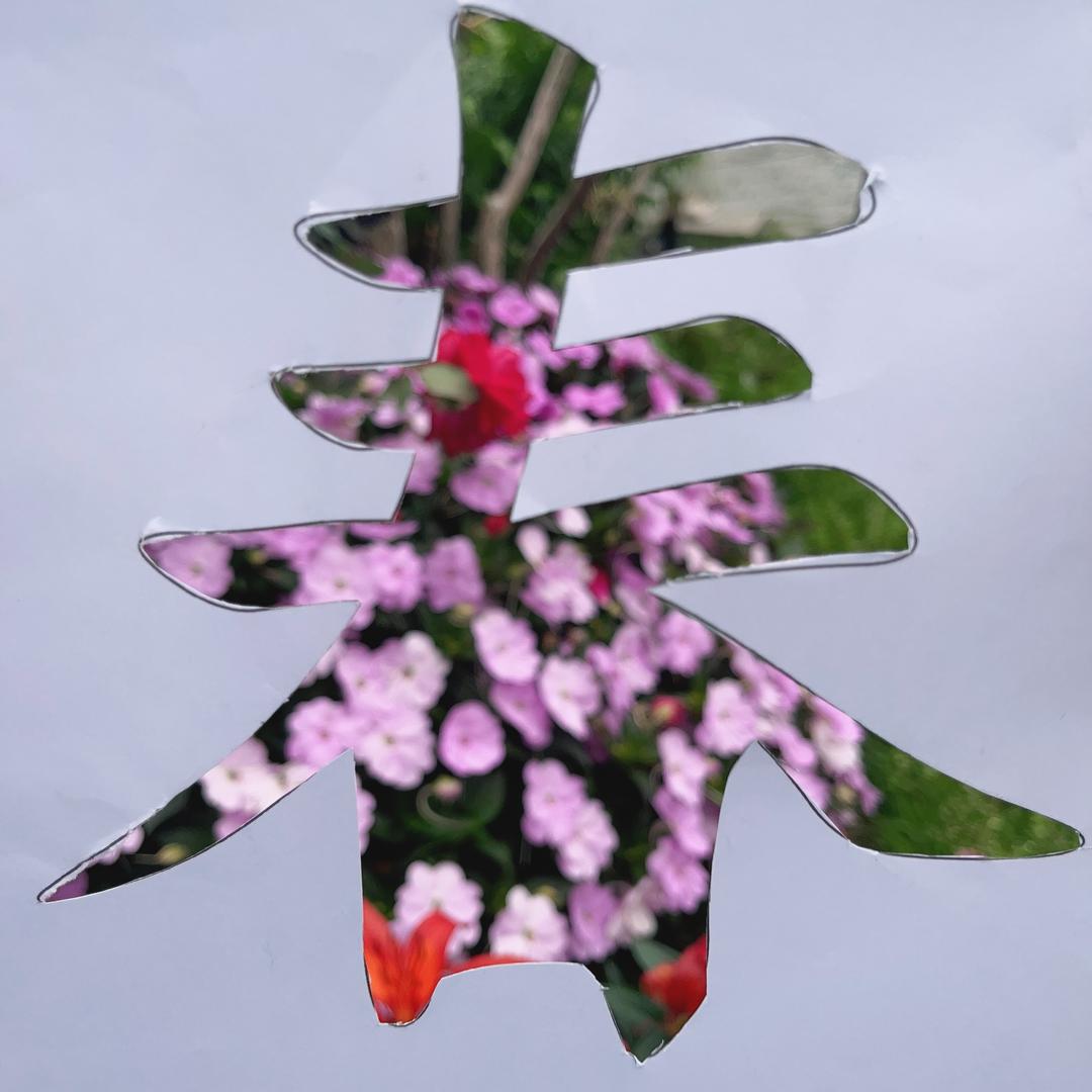 斐然然