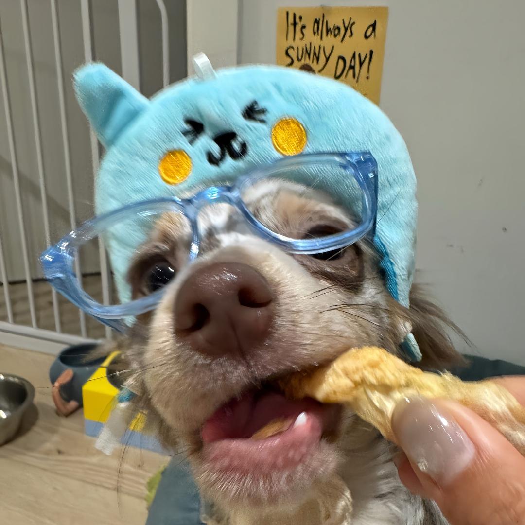 不会剁椒的保温杯