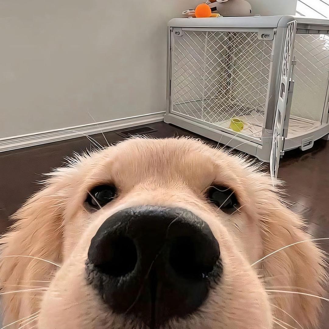 1号玩家❤️