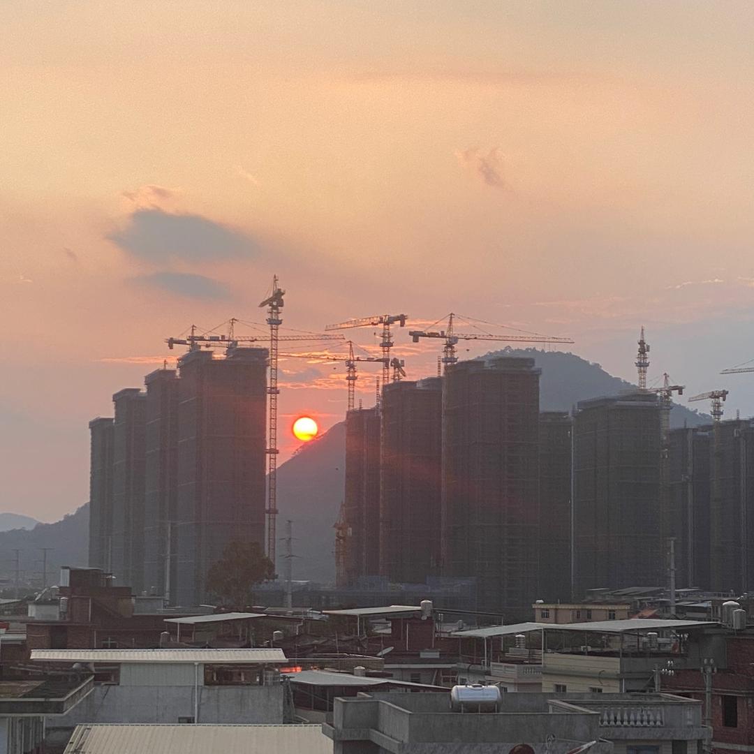 老许盆景