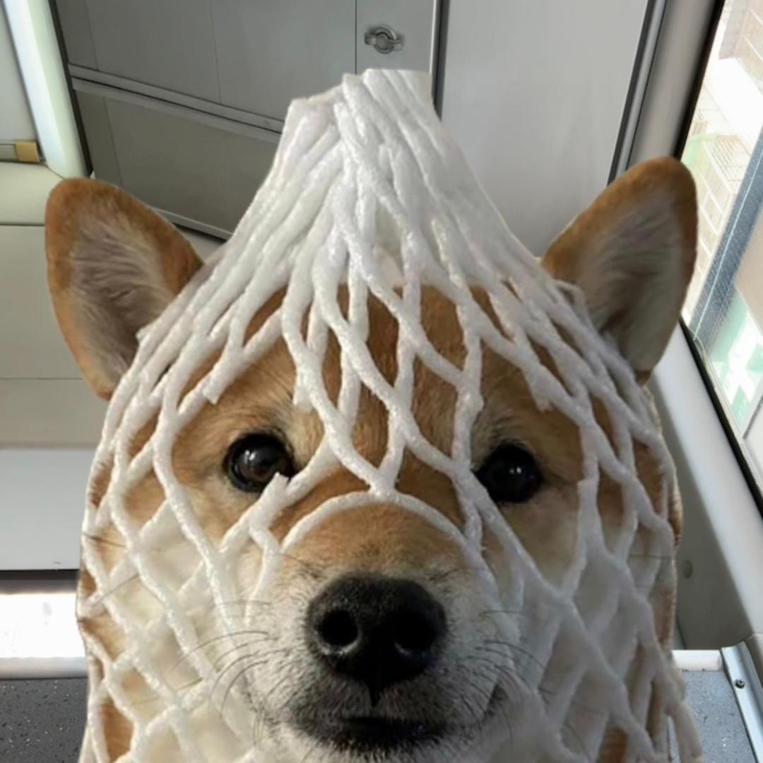 魔都首付牧洋仁