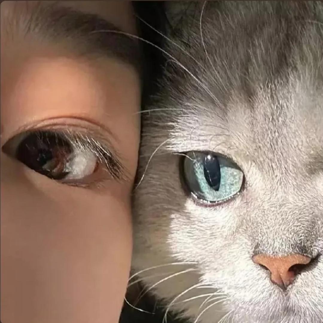 林安然