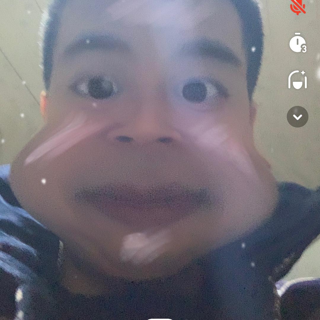 双人木木