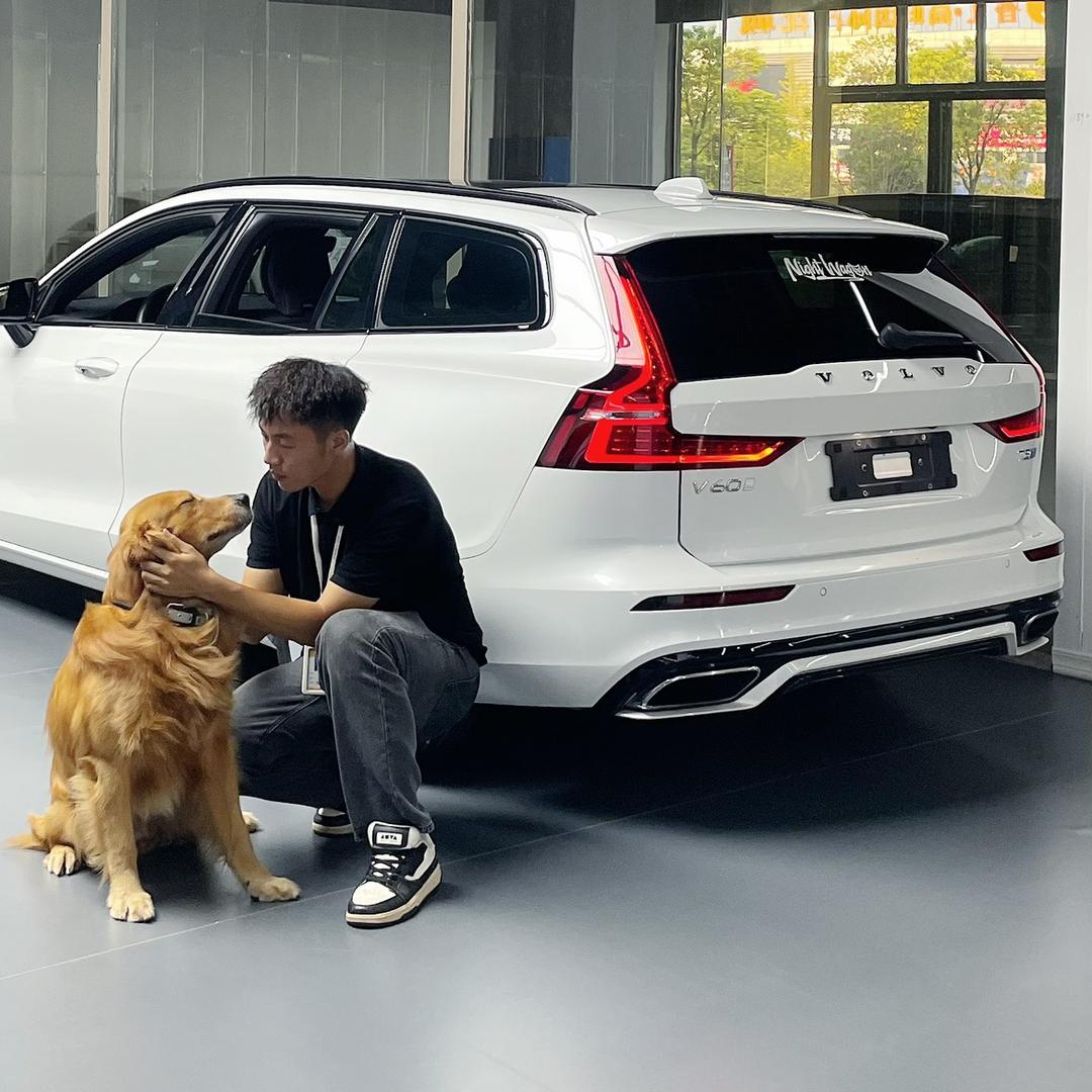 旅汇阿键（冲击销冠版）