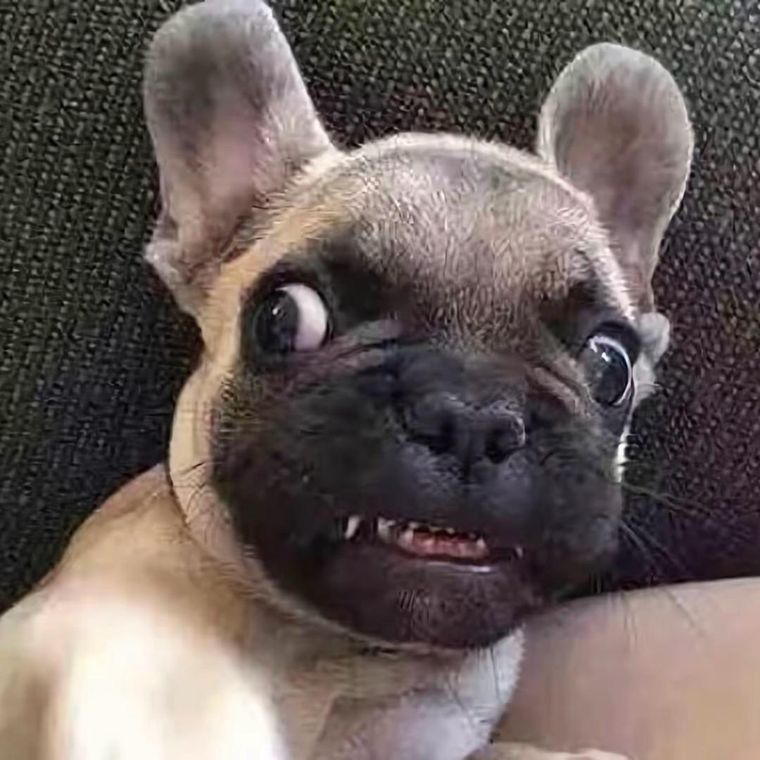 6099