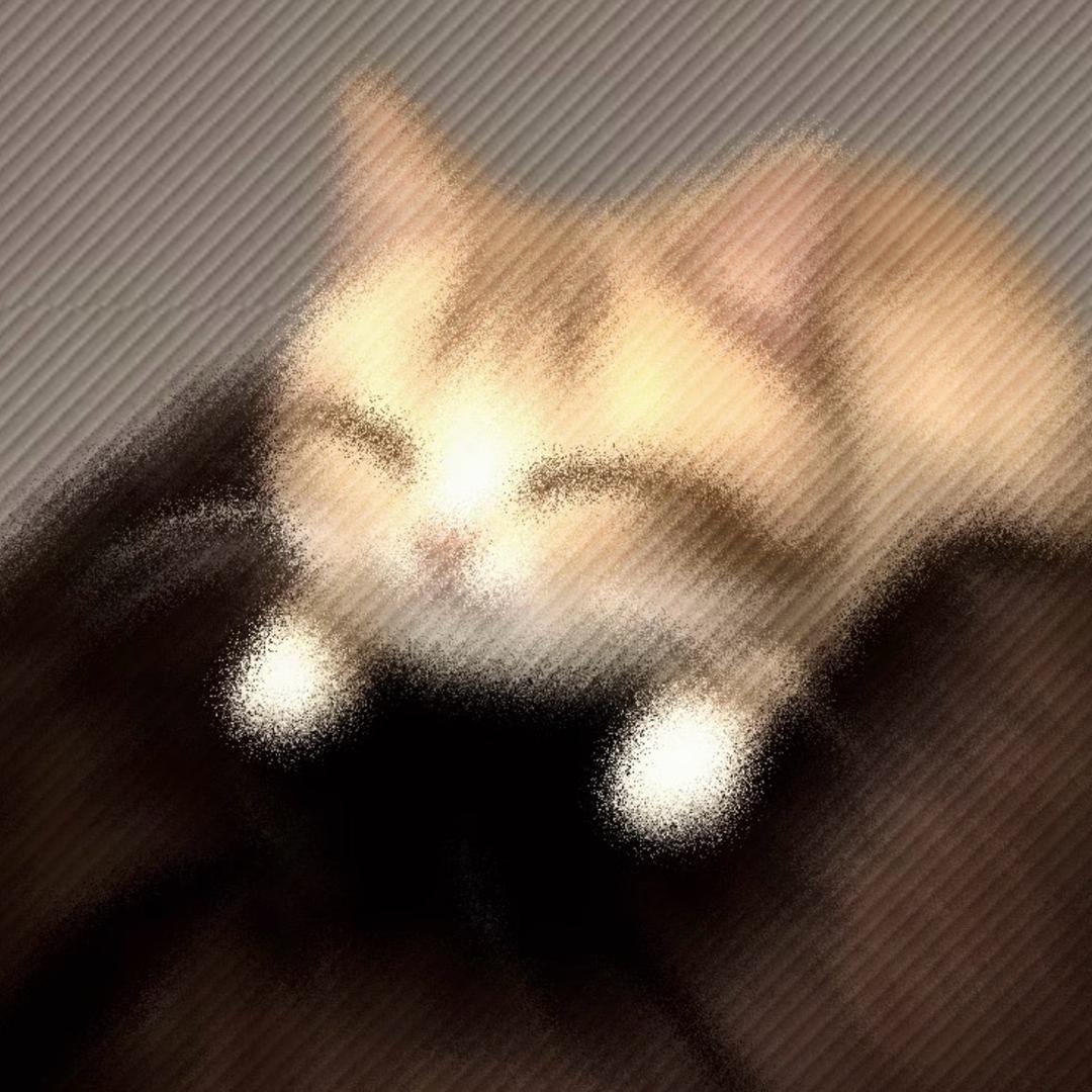 迷宫干