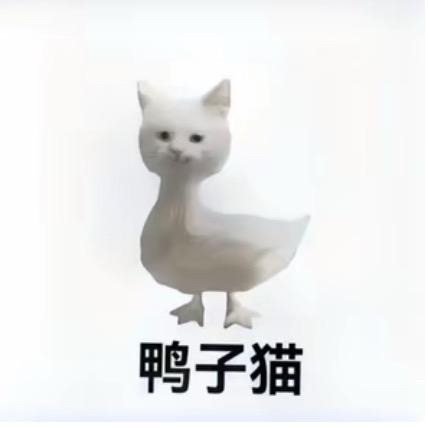 鸭子猫