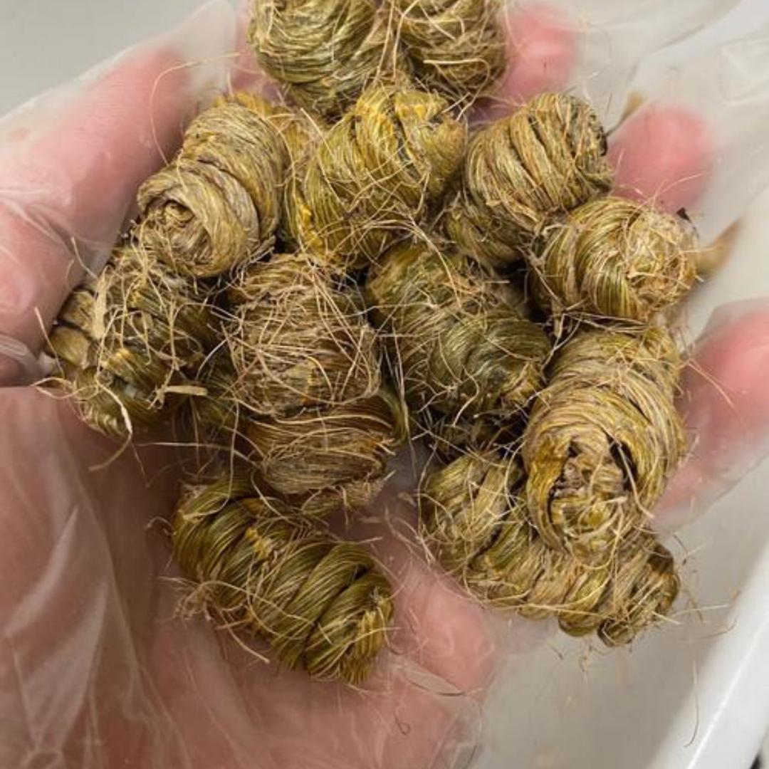 麒麟滋补养生店