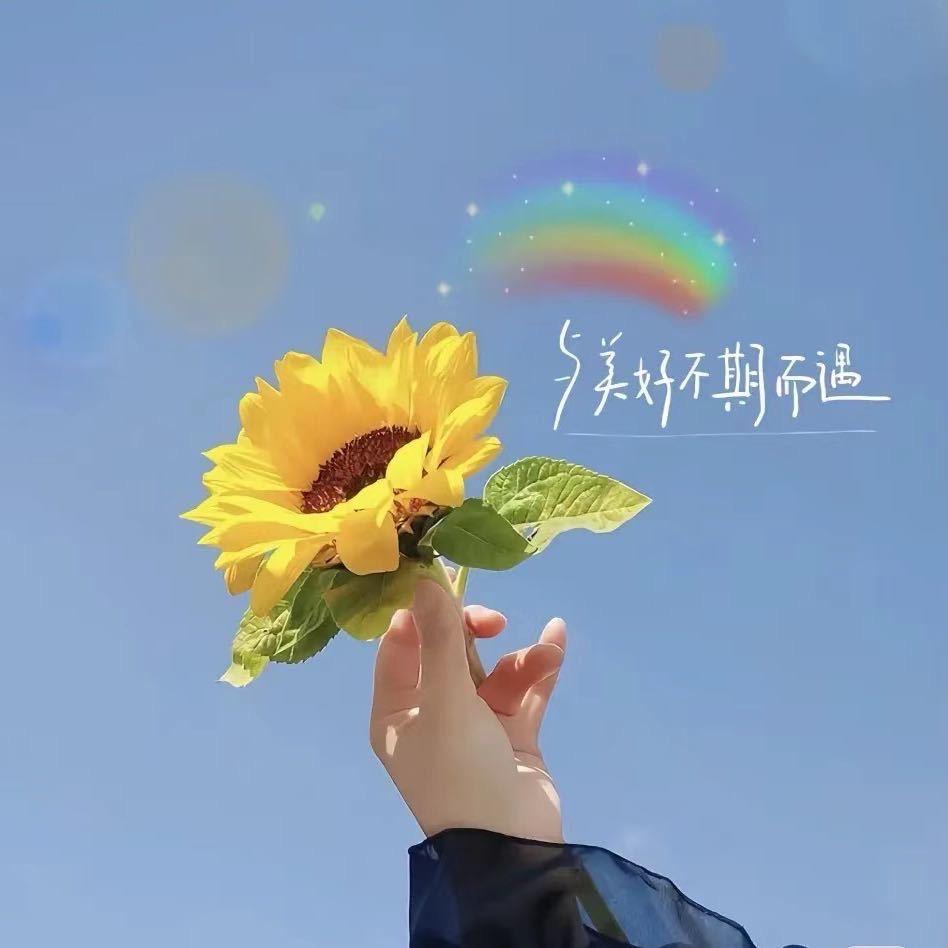 蒋少丽