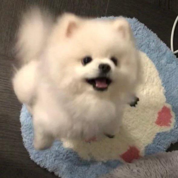 aiuuu^