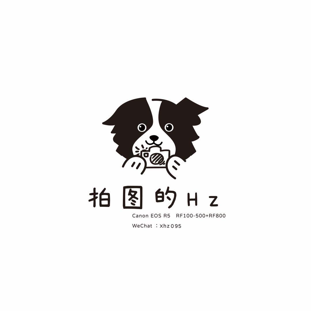 海z
