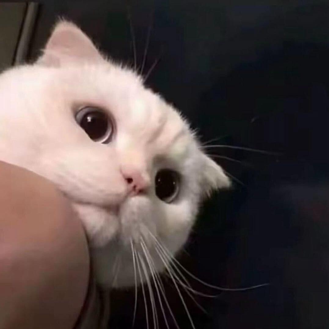 王少🤡