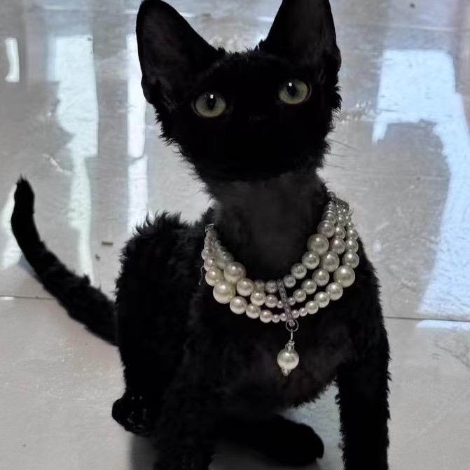 你的努力终会得到回报