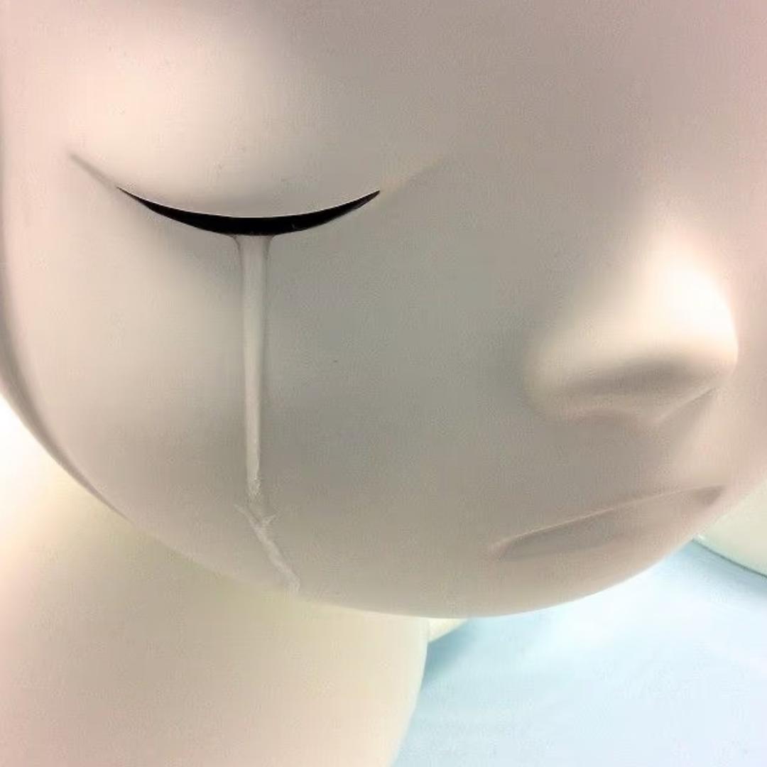 珊瑚