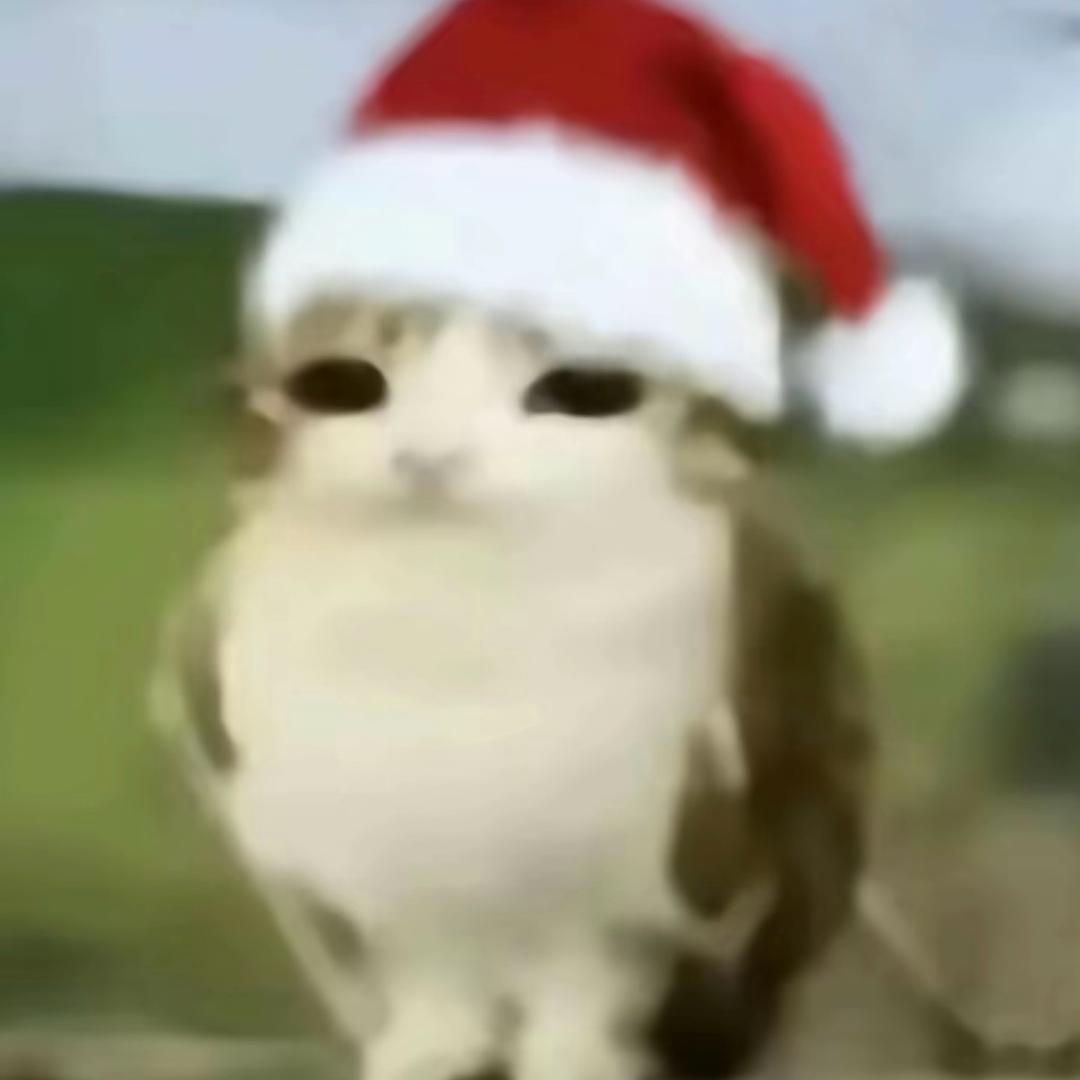 哈西财阀