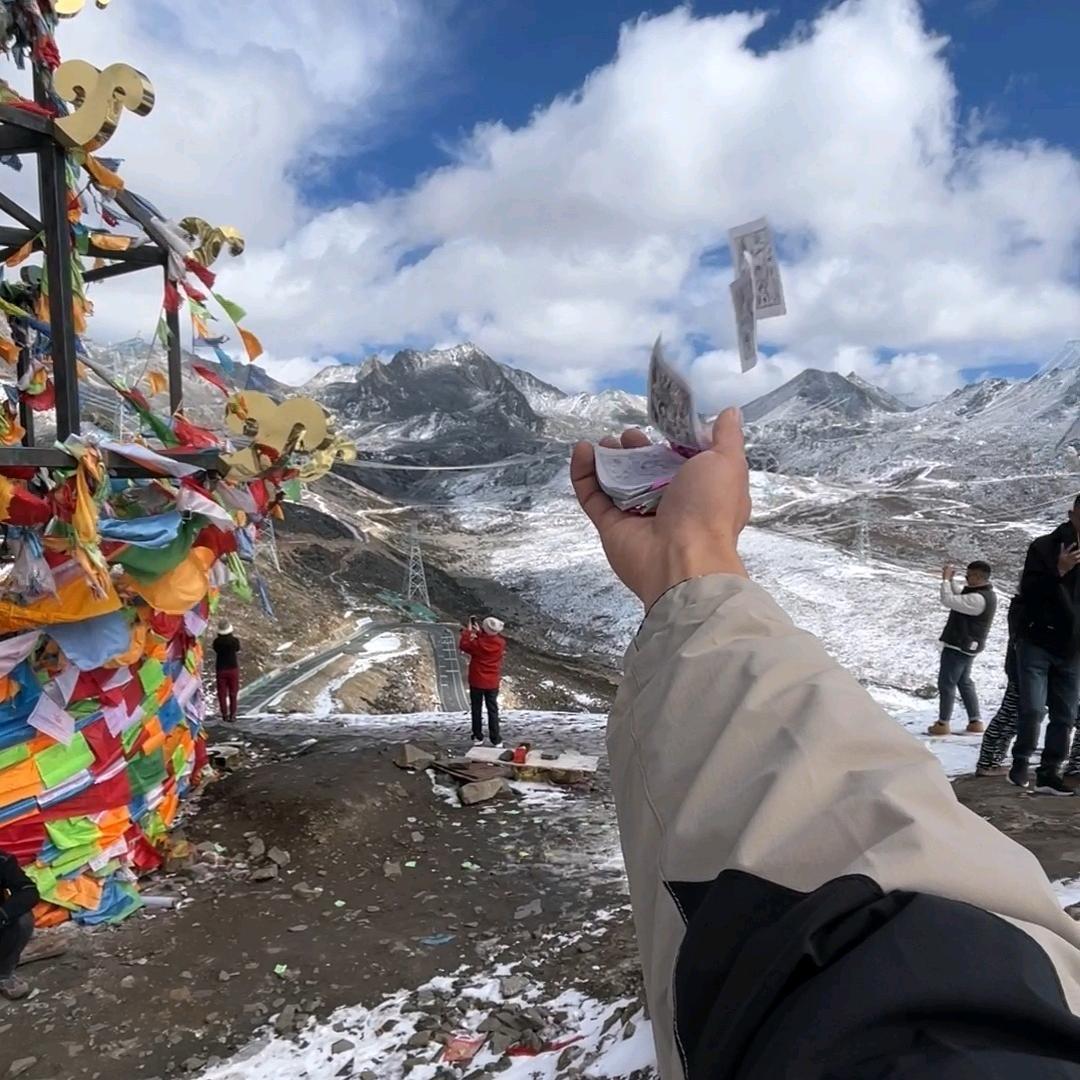 香菜茼蒿折耳根